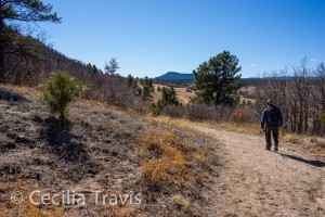 Easy South Loop Trail, Columbine Open Space, Colorado