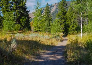 Partly wheelchair accessible Murdock Creek Trail, Sawtooth National Forest, Idaho