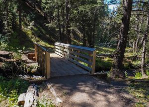 Accessible bridge on easy Murdock Creek Trail, Sawtooth National Forest, Idaho