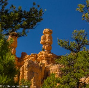 Red Canyon Hoodoo, Dixie National Forest. Easy hiking trail