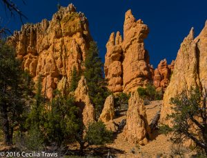 Pink Ledges Trail