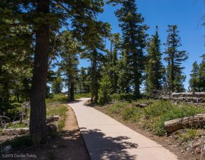 Paved part of the wheelchair-accessible Bristle Cone Loop Trail, Bryce Canyon National Park UT