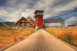 Accessible boardwalk path at Swaner Preserve and EcoCenter USU