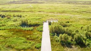 Wheelchair accessible pier walking path at Swaner EcoCenter, Utah State University