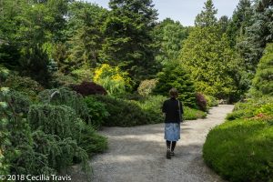 Easy accessible walking path at Kubota Garden, Seattle WA