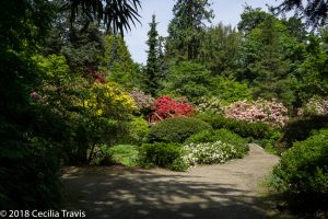 Easy accessible walking path at Kubota Garden, Seattle Washington