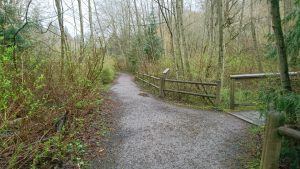 Accessible, easy Wetland Trail in Carkeek Park, Seattle WA ©Elizabeth Armbrust