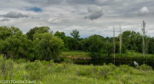 Pond from easy hiking trail, Two Ponds National Wildlife Refuge, Arvada Colorado