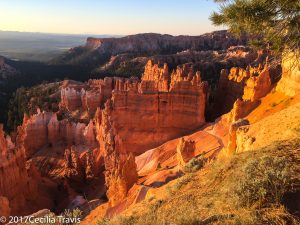 Bryce Canyon National Park, Utah photographed from wheelchair accessible paved trail