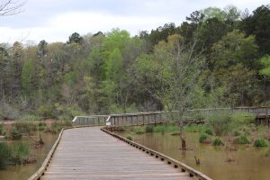 ADA Wheelchair accessible boardwalk, Ivy Creek Greenway, Gwinette Co., GA