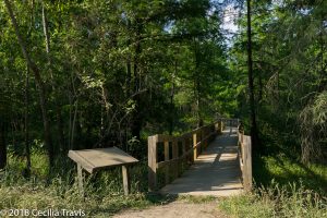 ADA wheelchair accessible boardwalk at Cypress Island Preserve, Louisiana