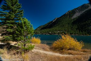 Side trail by the accessible Bennhoff Trail, Georgetown Lake CO