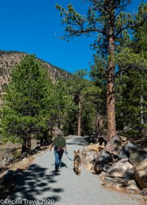 Hiker and dog walking the accessible Bennhoff Trail around Georgetown Lake, CO